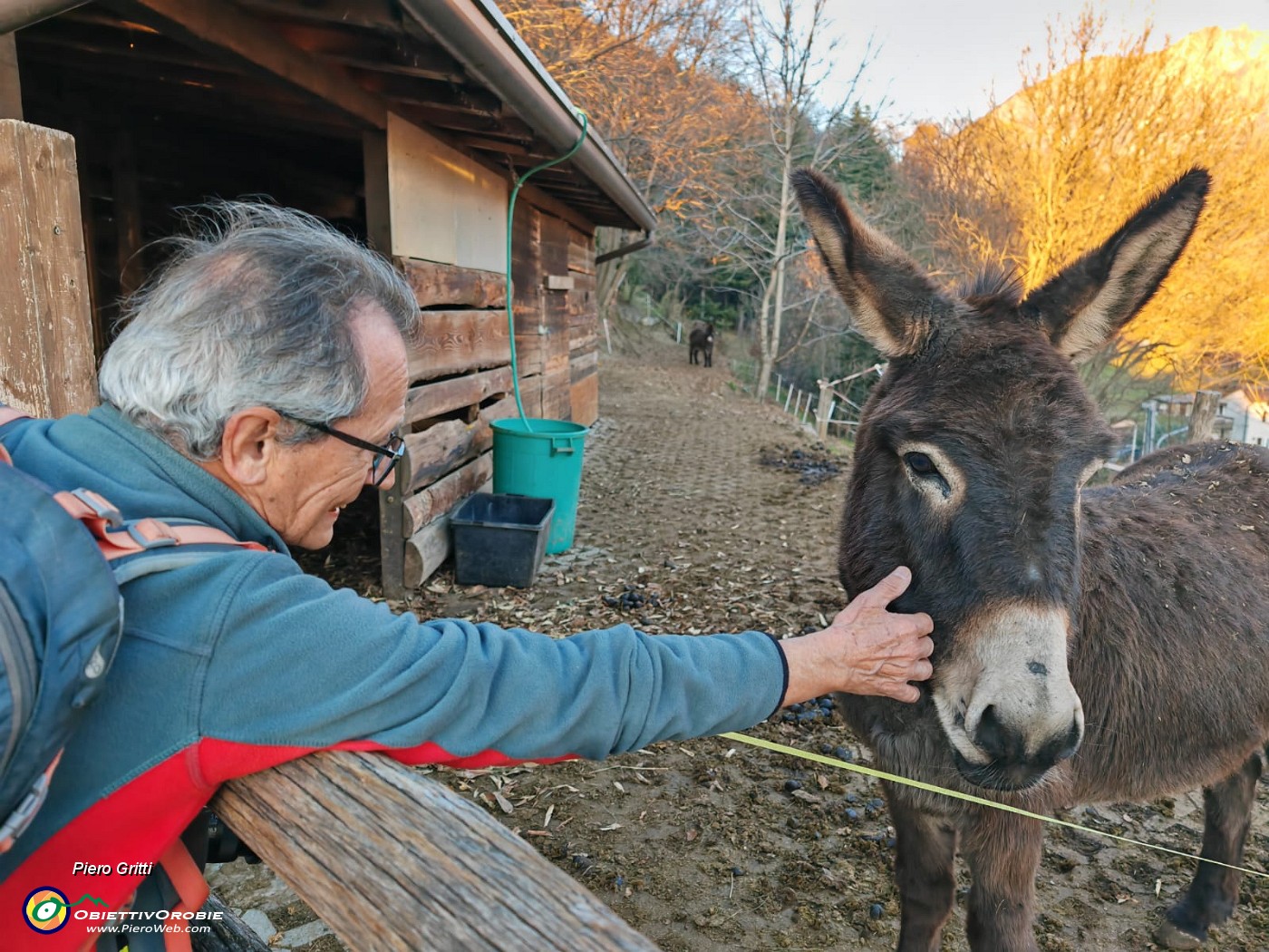 67 Il nostro amico asinello.jpg